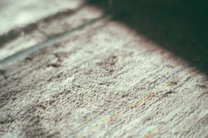 A close-up of a damp carpet with sunlight streaming in, highlighting moisture and texture after a recent cleaning.